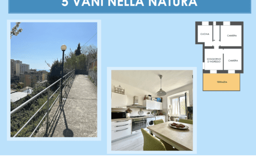 SAN MARTINO 5 VANI NELLA NATURA